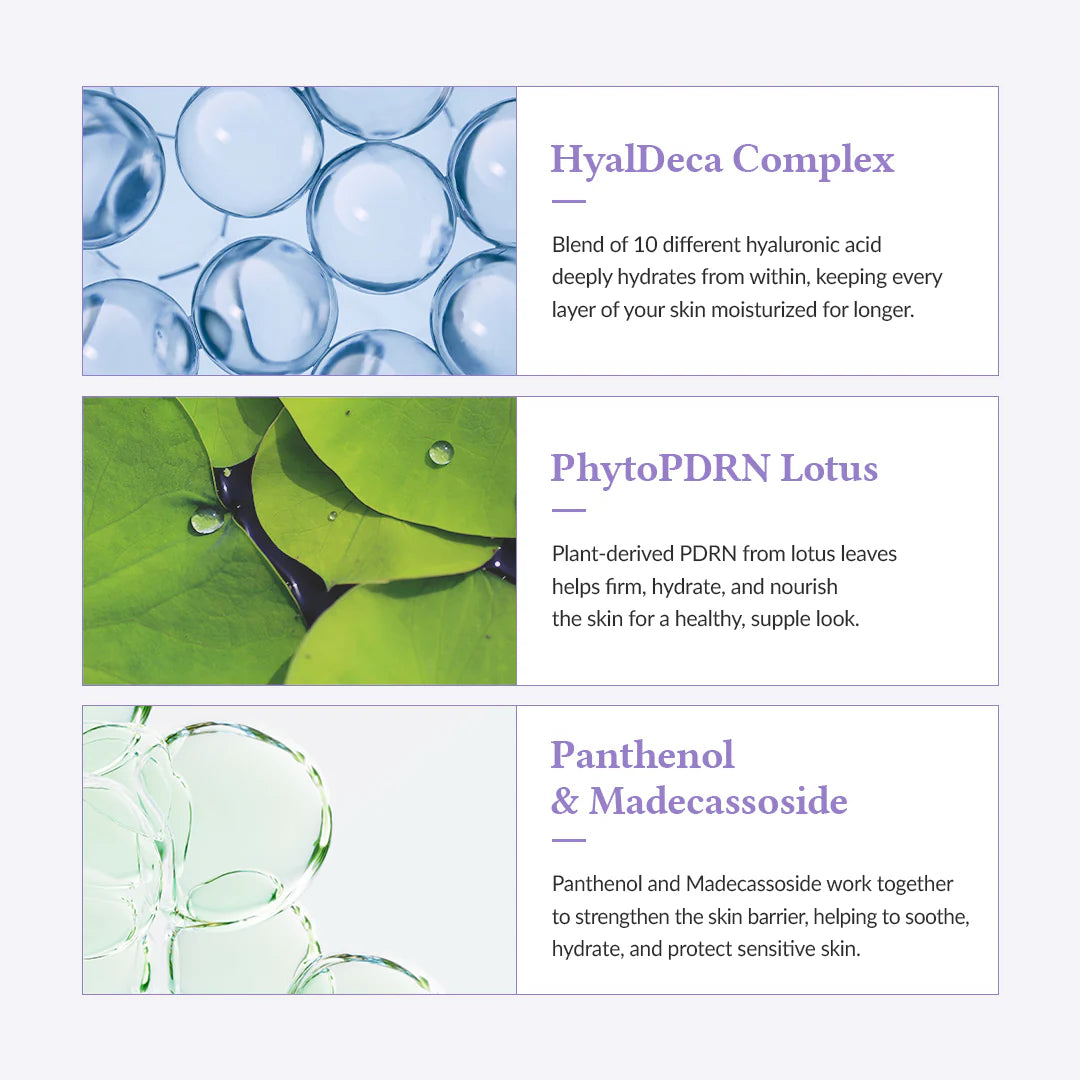 Masque hydratant Jelly Seal