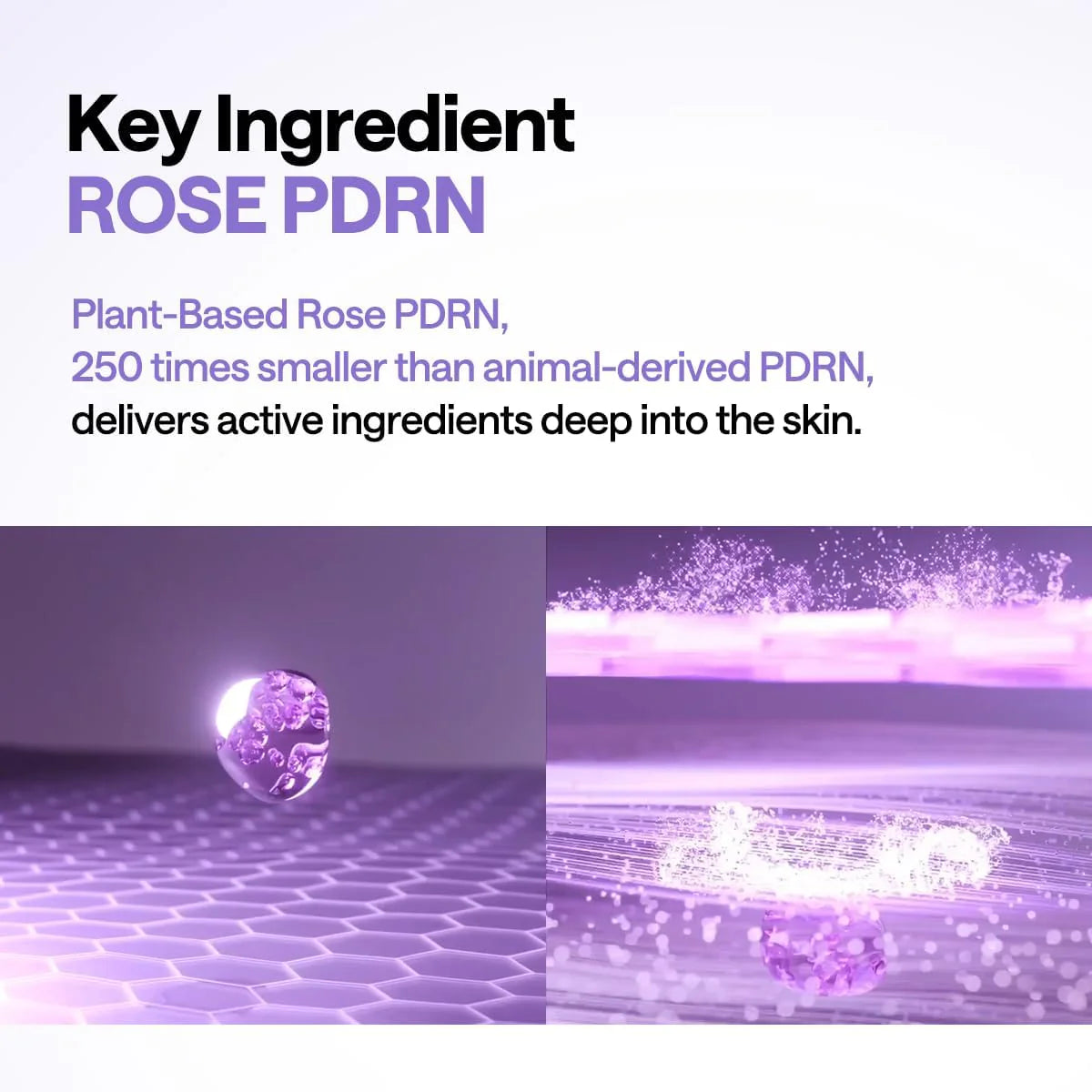 Coussin de levage PDRN (100 coussins)