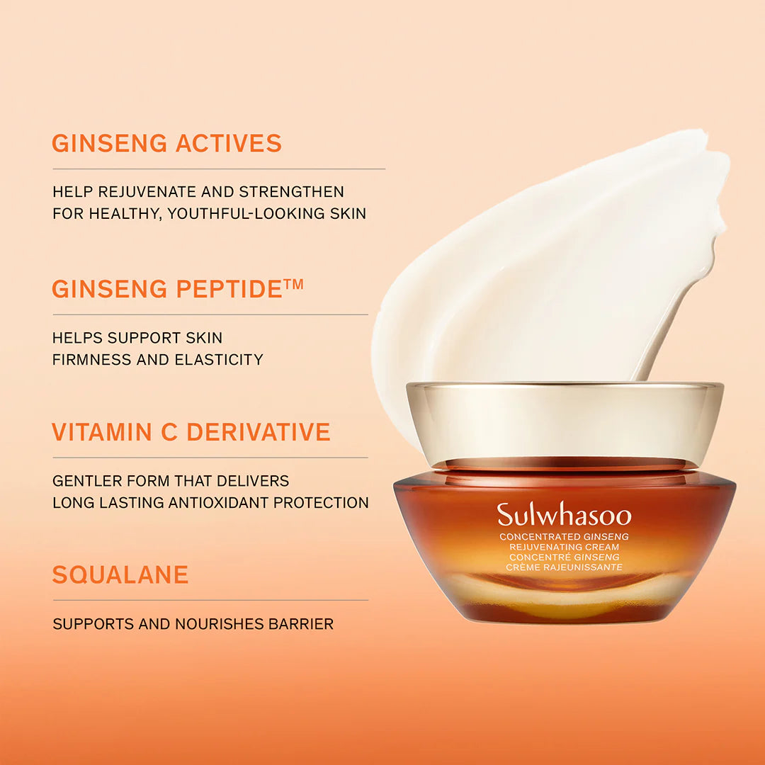 Concentrated Ginseng Renewing Cream [10ml]