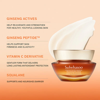 Concentrated Ginseng Renewing Cream [10ml]