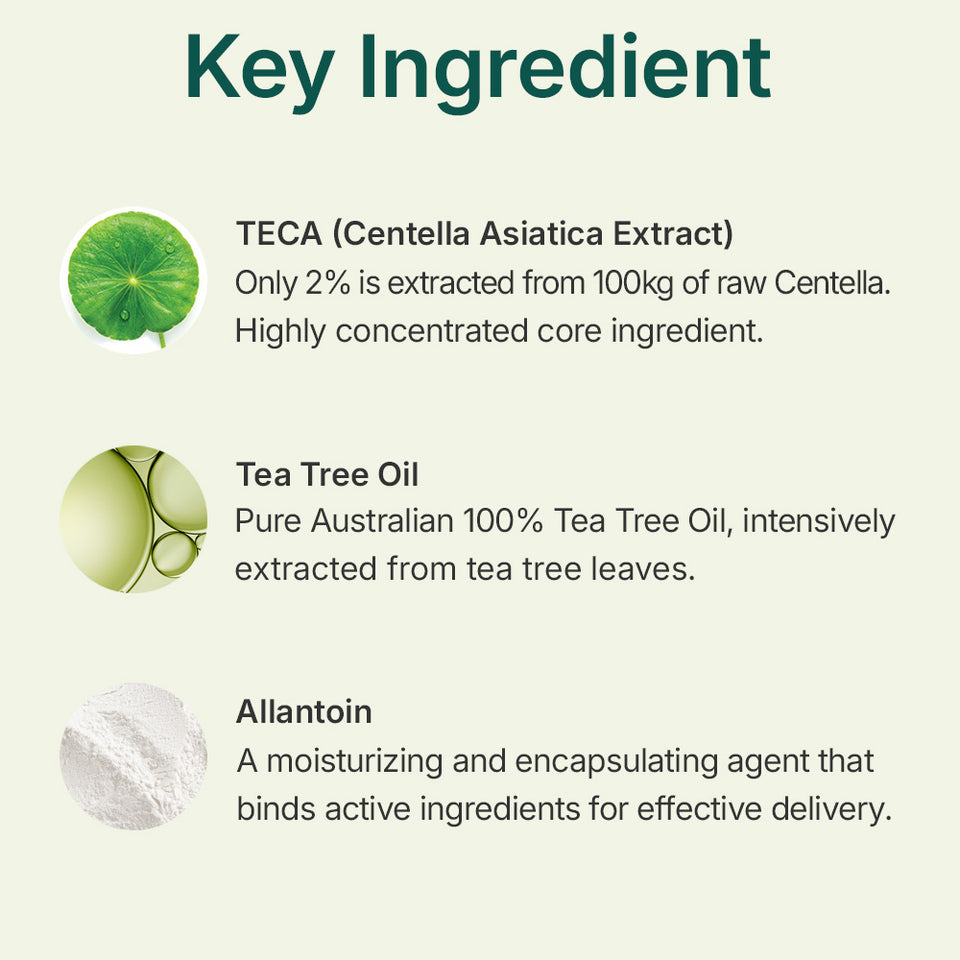 Madeca Powder Tea Tree AC [6g]