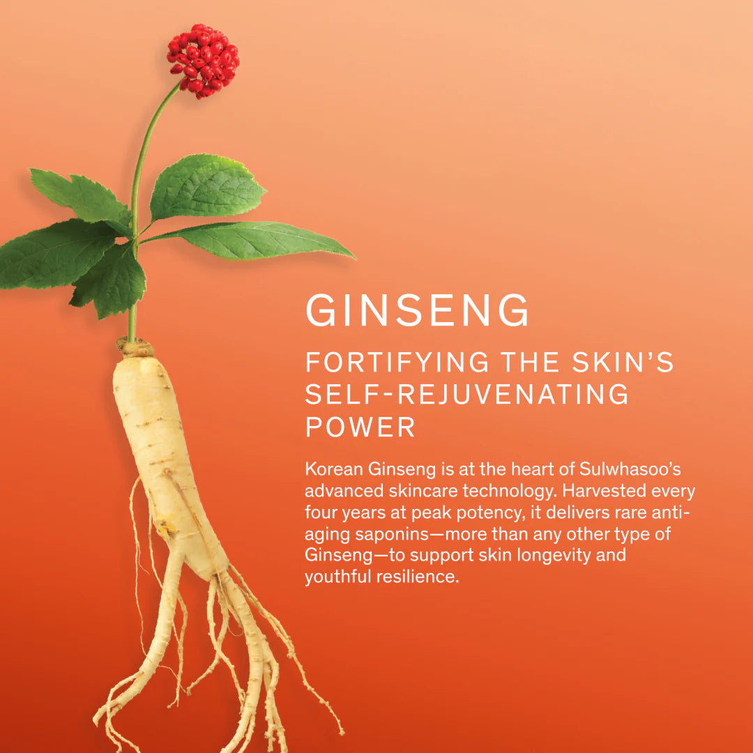 Concentrated Ginseng Renewing Cream [10ml]