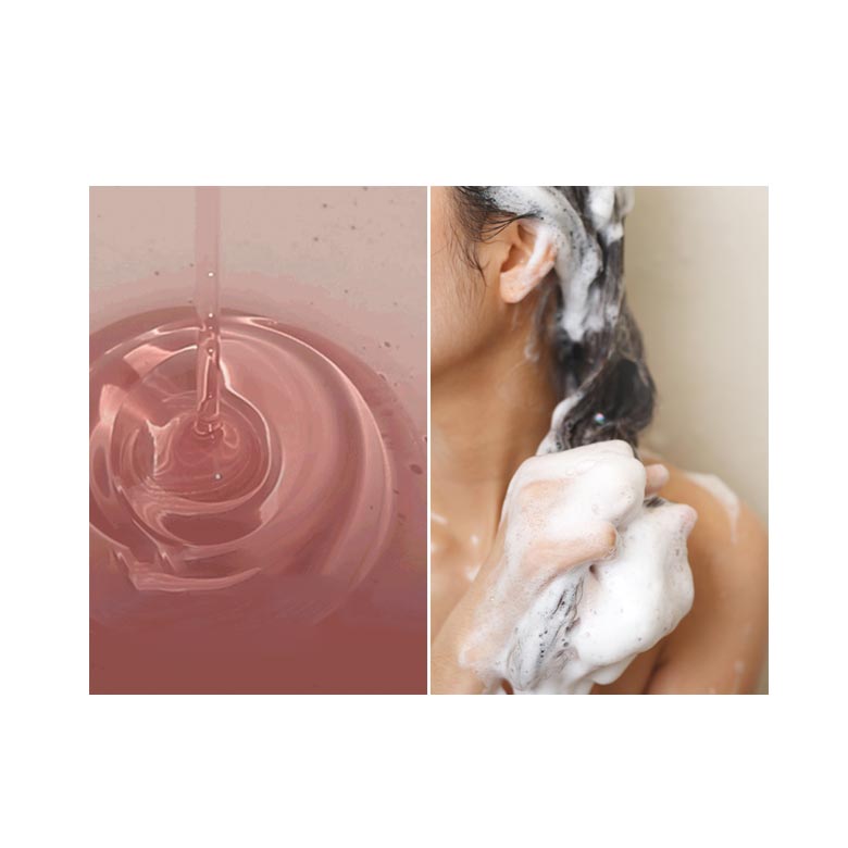 Refresh Moment Perfume Shampoo [500ml]