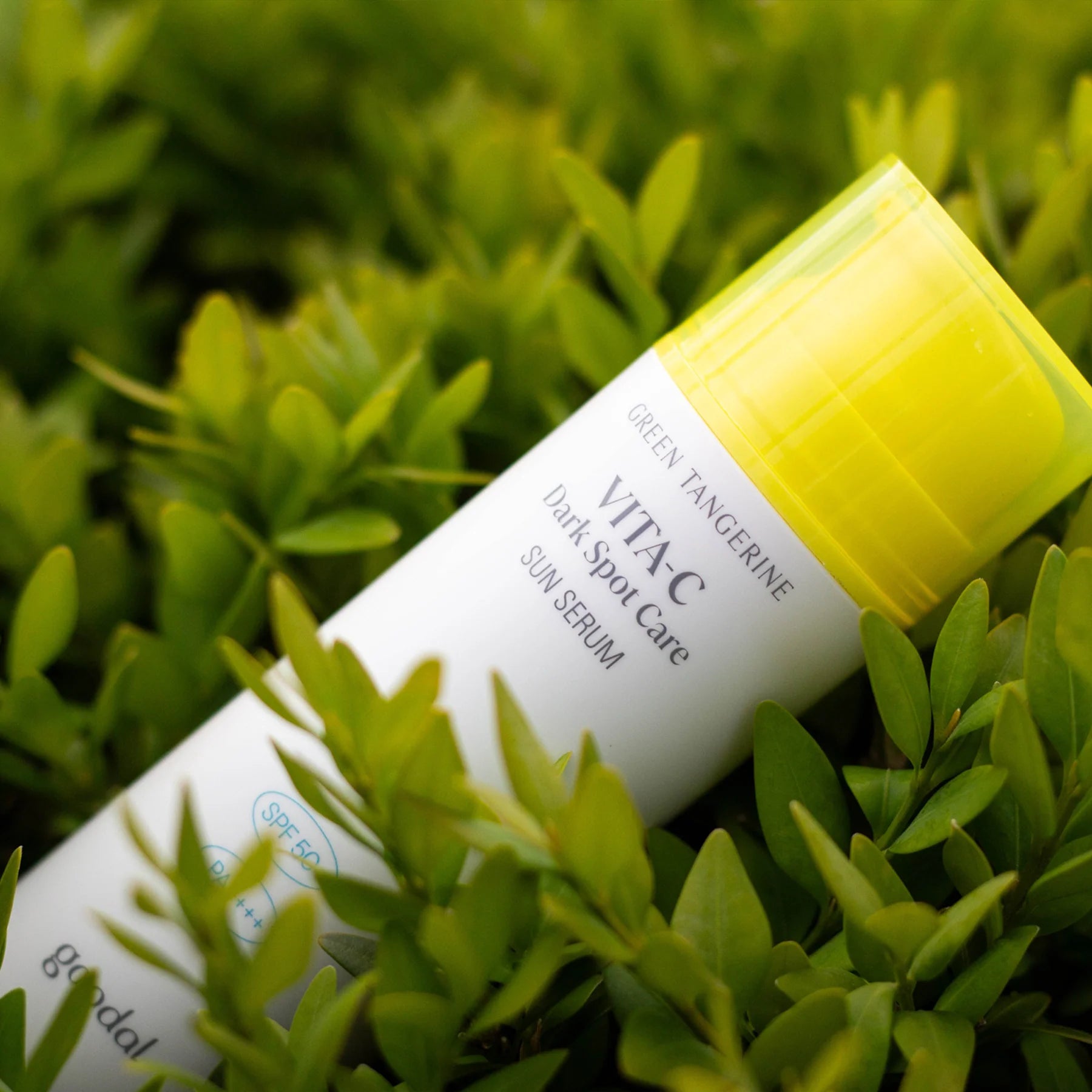 Green Tangerine Vita C Dark Spot Care Sun Serum [50ml]
