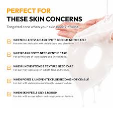 Niacinamide &amp; Barrier Biocellulose Mask Set
