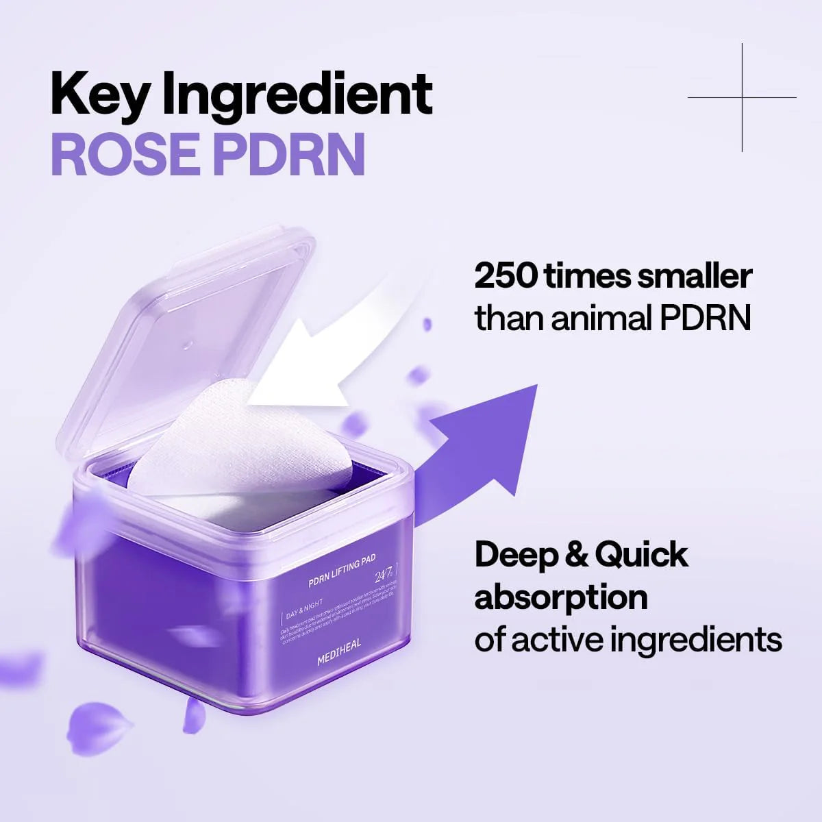 Coussin de levage PDRN (100 coussins)