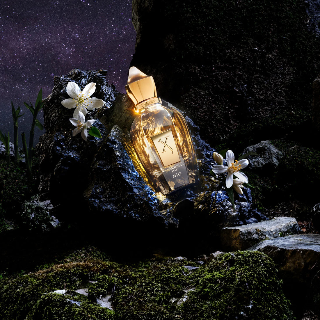 Nio Eau De Parfum [50ml]