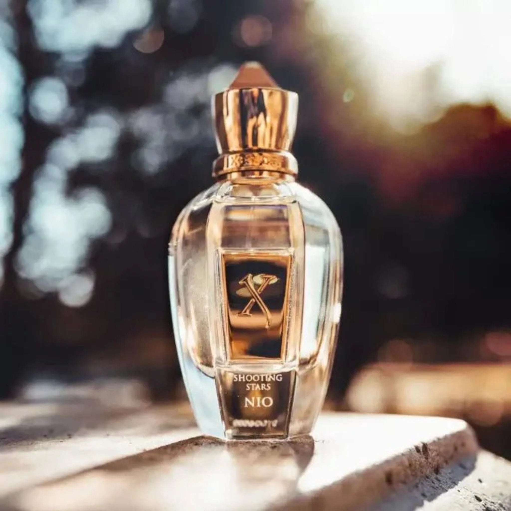 XERJOFF Nio Eau De Parfum | Buy Citrus-Spicy Luxury Fragrance