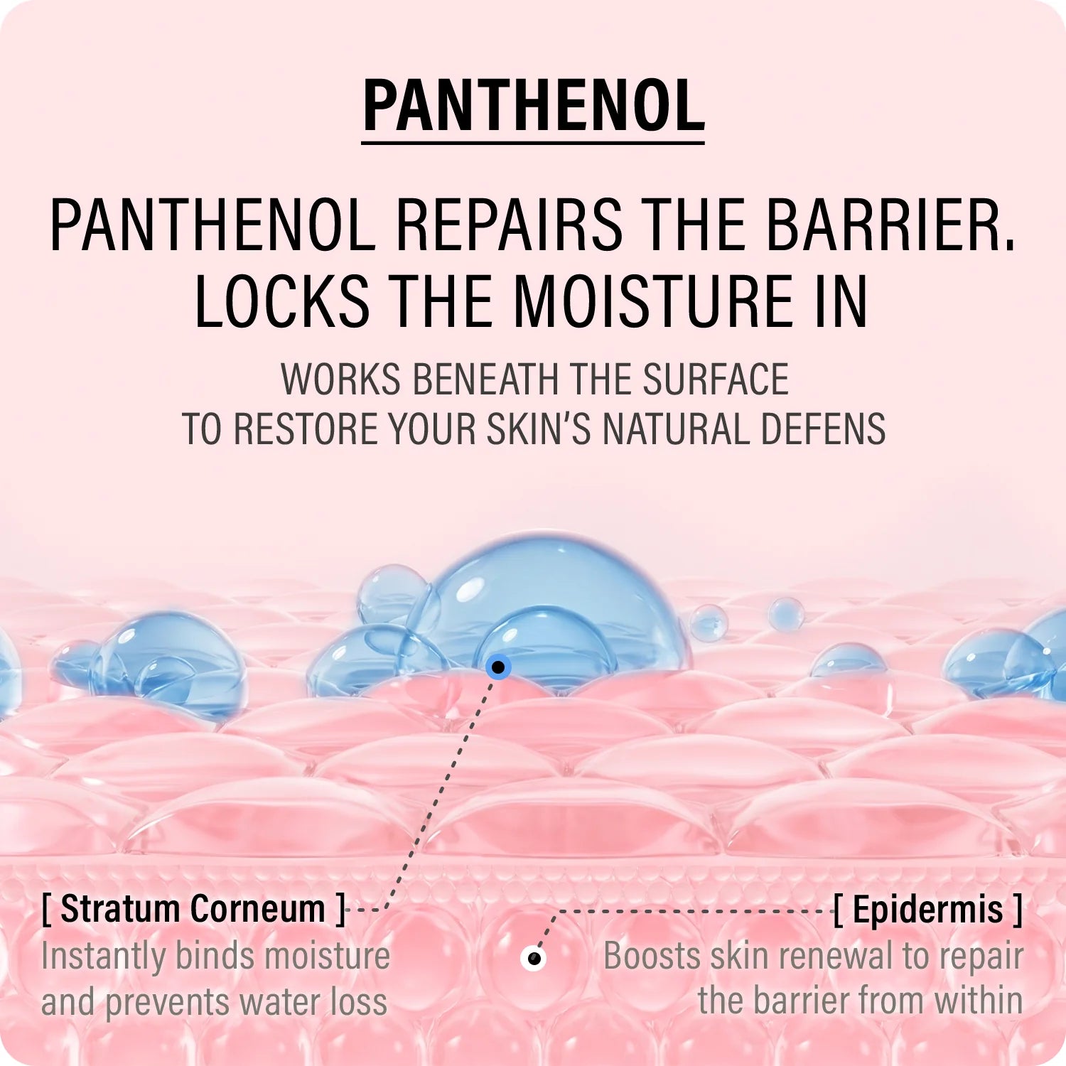 Double Up Cream Ectoin &amp; Panthenol