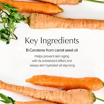 [SKINFOOD] Carrot Carotene Calming Water Pad [60pcs] - Gesichtspflege